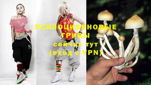марки lsd Алексеевка