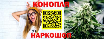 спиды Кимры