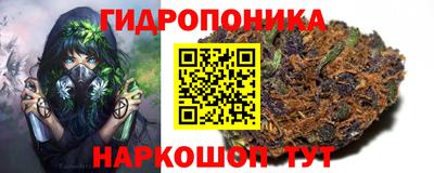 соль ск Кингисепп