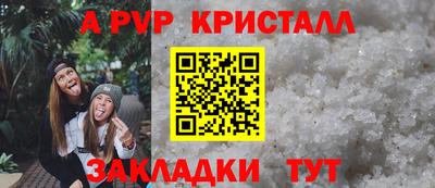 соль ск Кингисепп