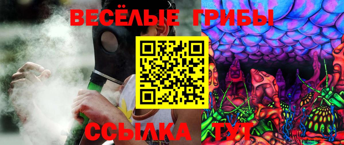 Псилоцибиновые грибы Psilocybine cubensis Советский