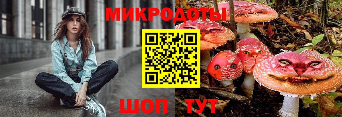 Псилоцибиновые грибы GOLDEN TEACHER  Вход с VPN  Советский  закладка  Псилоцибиновые грибы прущие грибы 